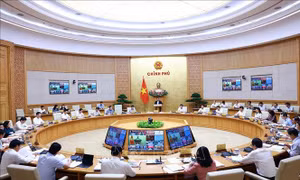 Quyết liệt thực hiện các mục tiêu, chỉ tiêu phát triển kinh tế, xã hội năm 2024
