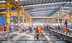 TP Hồ Chí Minh: 85,7% doanh nghiệp bị ảnh hưởng bởi dịch COVID-19