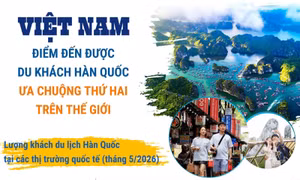 Việt Nam - điểm đến được du khách Hàn Quốc ưa chuộng thứ hai thế giới