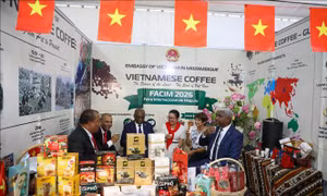 Lan tỏa văn hóa cà phê Việt Nam tại miền Nam châu Phi