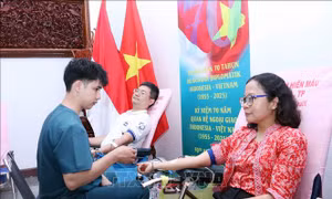 Đồng hành cùng Chiến dịch 'Những giọt máu hồng' hè 2025