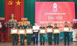 Phát huy phẩm chất 'Bộ đội Cụ Hồ' trong phong trào 'Cựu chiến binh gương mẫu'