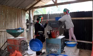 Xuân về Thài Khao
