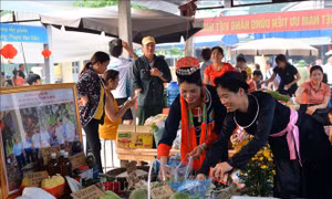 Xã Tân Tiến (Tuyên Quang) 'chuyển mình'