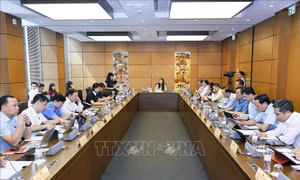 Đưa chính sách dầu khí từ tư duy “ưu đãi đầu tư” sang 'cạnh tranh toàn cầu'
