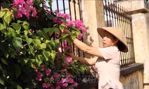 Hiệu quả từ mô hình 'Khu dân cư không rác thải' của phụ nữ Bắc Ninh