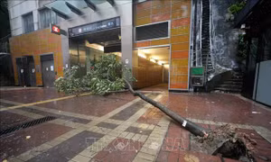 Hong Kong, Macau (Trung Quốc) dỡ bỏ cảnh báo bão Wipha