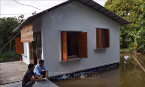 Độc đáo 'ngôi nhà không bao giờ ngập' của chàng trai miền Tây