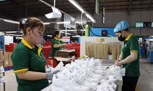 Duy trì tăng trưởng để mở rộng dư địa xuất khẩu