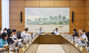 Thông cáo báo chí số 2, Kỳ họp thứ 10, Quốc hội khóa XV​