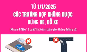 Các trường hợp không được dừng xe, đỗ xe từ 1/1/2025