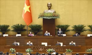 Thông cáo báo chí số 17, Kỳ họp không thường lệ thứ Nhất, Quốc hội khóa XVI