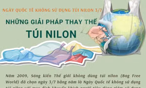 Những giải pháp thay thế túi nilon