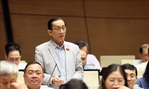 Bên lề Kỳ họp thứ Nhất, Quốc hội khóa XVI: Đề xuất nâng ngưỡng chịu thuế, tạo động lực hộ kinh doanh lên doanh nghiệp