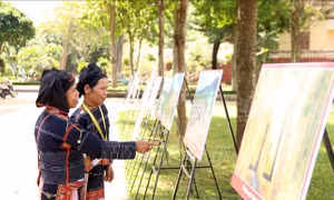 Nhiều hoạt động trong khuôn khổ Tuần Văn hóa - Du lịch Gia Lai 2023