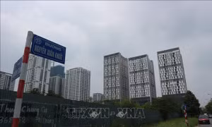 'Tháo ngòi' xung đột quỹ bảo trì chung cư tại Hà Nội - Bài 3: Việc mới, việc khó