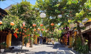 Lo lắng dịch bệnh COVID-19, khách liên tục hoãn - hủy tour