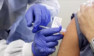 Theo bước Nga, Mỹ tính cấp phép nhanh cho vaccine ngừa COVID-19