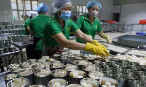 Đẩy nhanh tiến độ kiểm dịch trái cây xuất khẩu vào thị trường Hoa Kỳ