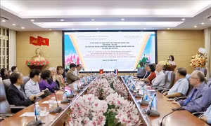 Tăng cường hợp tác hữu nghị giữa người dân hai nước Việt Nam - Hà Lan