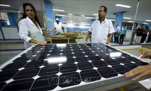 Cuba thúc đẩy khoa học và sáng tạo vì sự phát triển bền vững