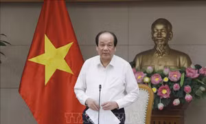 Không để nợ đọng văn bản của nhiệm kỳ Chính phủ 2016 - 2021