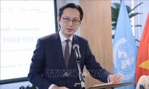 Công ước Hà Nội: Tiền đề thuận lợi để thúc đẩy sự tham gia rộng rãi và thực thi hiệu quả