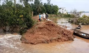 Cồn Thanh Long tiếp tục sạt lở, ảnh hưởng đời sống người dân