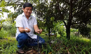 Những nông dân tiên phong chuyển đổi mô hình sản xuất đạt hiệu quả kinh tế cao