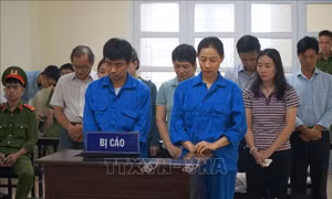 Xét xử 12 bị cáo trong vụ án Việt Á ở Đắk Lắk
