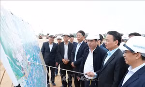Rộn ràng khí thế lao động sản xuất đầu năm mới tại Ninh Bình