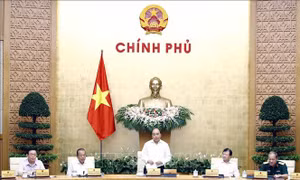 Thủ tướng bổ nhiệm và bổ nhiệm lại nhân sự bốn cơ quan