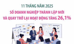 Doanh nghiệp thành lập mới và quay trở lại hoạt động tăng 26,1%