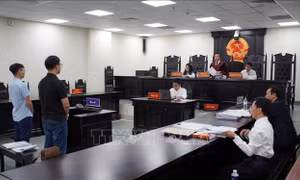 Kiến nghị xem xét trách nhiệm hình sự chủ nhà trọ trong vụ cháy làm chết 15 người ở phố Trung Kính
