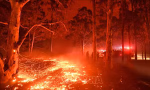 200 đám cháy rừng vẫn hoành hành tại Australia 
