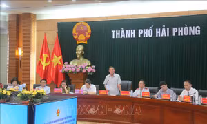 Hải Phòng: Giải quyết kiến nghị liên quan đến 91 hộ dân về giao đất làm nhà ở