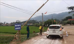 Huyện Quỳnh Lưu (Nghệ An) công bố hết dịch tả lợn châu Phi