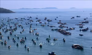 Hội nghị Trung ương 3: Nâng cao năng lực quản trị quốc gia đối với không gian biển