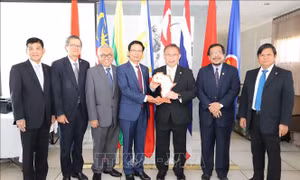 Ủy ban ASEAN tại Pretoria đánh giá cao đóng góp của Việt Nam trên cương vị Chủ tịch