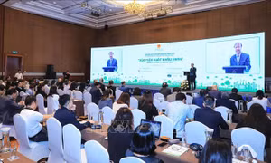 Xúc tiến xuất khẩu xanh 