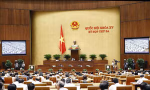 Kịp thời điều chỉnh hoặc hủy bỏ quy hoạch đã quá thời hạn, không khả thi