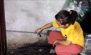 Nhiều hộ dân thiếu nước sinh hoạt thường xuyên tại huyện Vũ Thư