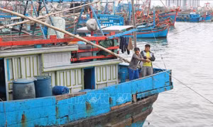 Ngư dân Khánh Hòa tấp nập vươn khơi 