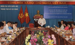 Giám sát việc thực hiện Luật Việc làm tại TP Hồ Chí Minh