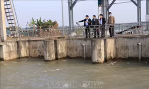 Một số địa phương cơ bản hoàn thành lấy nước cho vụ Đông Xuân