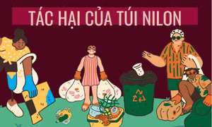 Ngày Quốc tế không sử dụng túi nilon 3/7: Những tác hại của túi nilon