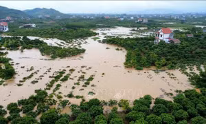 Bắc Ninh: 35/42 hồ chứa đã tràn tự do, mực nước nhiều nơi vượt báo động III