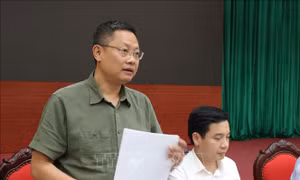 Hà Nội chủ động phòng, chống ngập úng, cắt tỉa cây xanh trong mùa mưa bão