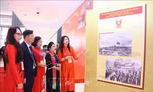 Đại biểu dự Đại hội Thi đua yêu nước toàn quốc lần thứ XI tham quan Trưng bày ảnh của TTXVN