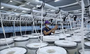 Indonesia kết luận cuối cùng về điều tra tự vệ sợi bông nhập khẩu